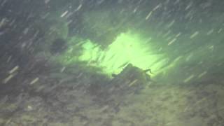 West Bare Night Dive