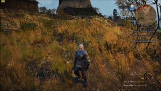 GTX 960 2GB & Pentium G3258 - The Witcher 3 Benchmark