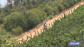 MTBO WOC 2011 2° gg