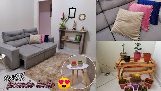 Nova decoração da sala + plantas na varanda + comprei um sofá novo | Rotina de dona de casa