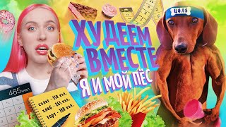 ПОХУДЕТЬ ЗА 2 НЕДЕЛИ / Что я ем?