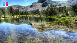 Nature Sounds & Music for Relaxation Meditation Healing - Rain Forest and Symphony