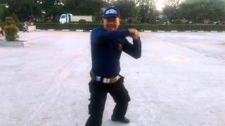 Tongkat T / tonfa     freestyle