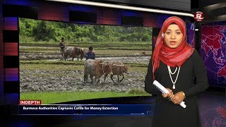 Rohingya Daily News 18 January 2018