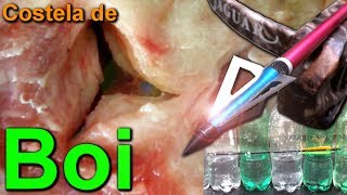 ? Crossbow / Balestra Jaguar 175 libras - Costela de boi e garrafas - Teste de penetração