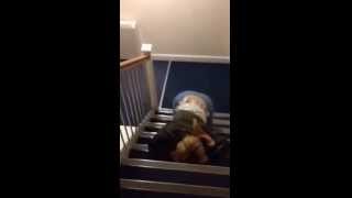 Drunk Girl Stair Fail