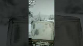 Slow motion Кушинка