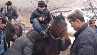 Улак1 Кара-кулжа р.н Сарыбулак айылы  07.01.2017