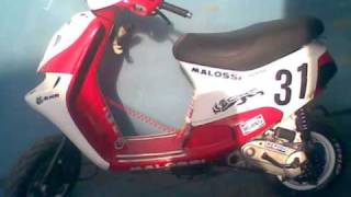 ZIP SP MHR 6T TRICOLORE ITALIA (by SuperZip)