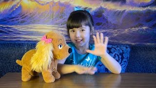 Собачка ЛЮСИ выполняет команды и другие САМЫЕ ЛЮБИМЫЕ игрушки Lucy The Dog and other favorite toys