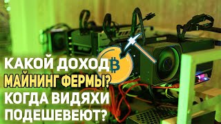 Доход майнинг фермы за месяц! Когда подешевеют видеокарты?