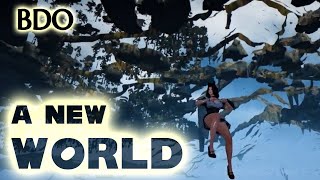 The Unseen World Below BDO | Bug / Glitch in Black Desert Online