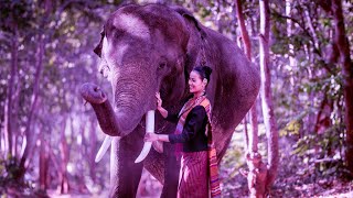 Enhance Positive Energy | 528Hz Miracle Healing Frequency Music | Enhance Self Love | Relaxing Music