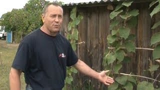 Чиновник из Бреста променял свою должность на жизнь в глухой деревне