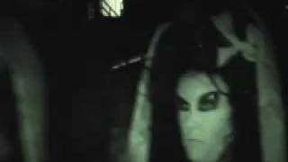 Voluptuous Horror of Karen Black Whitney Biennial Beginning
