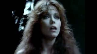 Hearts And Armour 1983