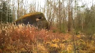 Новые приключения под дождём