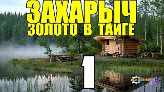 ЗАХАРЫЧ В ТАЙГЕ | НАХОДКИ ЗОЛОТА | В ПОИСКАХ ЗОЛОТА И СТАРИНЫ | СУДЬБА ЧЕЛОВЕКА 1 из 2