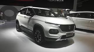 BAOJUN RS-5, 360, 730, 530, 510, 310W, 310, E200, WULING HONGGUANG S - 2019 16th Changchun Auto Expo