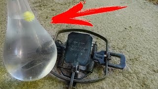 САМЫЙ СТРЕМНЫЙ АНТИСТРЕСС vs. МЕДВЕЖИЙ КАПКАН ?!