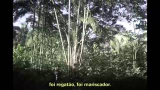Mostra de cinema percorre escolas e universidades de todo o Brasil (25/03/2015)