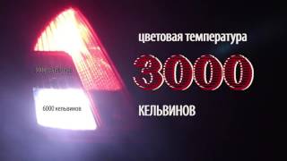OSRAM Led P21W PY21W
