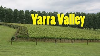 Australia's Yarra Valley and surrounding countryside - Pat and Penny