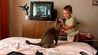 Не обижай кота, сынок! Do not tease the cat, son