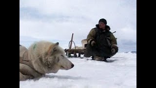 В гостях у эскимосов и чукчей / Россия, любовь моя! / Телеканал Культура