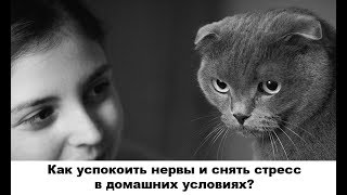 Как успокоить нервы и снять стресс в домашних условиях?