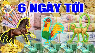 QUÁ BẤT NGỜ! Thần Tài Làm Điều Này, 3 Con Giáp Trúng To Liên Tiếp, Tiền Về Như Nước, Nợ Nần Trả Sạch