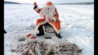 Трофеи 97