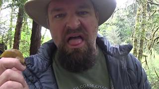 Griff's Wild Tips: Why NOT to Lick a Banana Slug