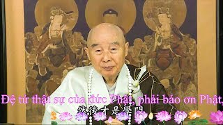 TĐ:1406- Đệ tử thật sự của đức Phật, phải báo ơn Phật, tiếp nối Phật huệ mạng