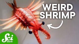 10 Strange-Looking Prehistoric Animals