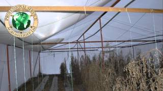 NetHouse НетХаус сетка Optinet