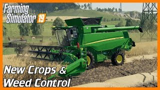 DEV BLOG + XB1 PRE ORDER | New Crops & Weeds | FS19