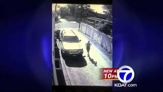 She did what?!? Runner caught pooping in yard