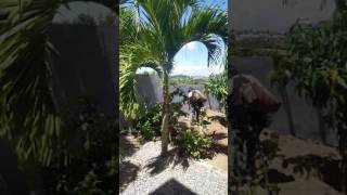 MIS VACACIONES EN REP. DOMINICANA ( 5-30-17 ) RAFELITO Y ANGELITA