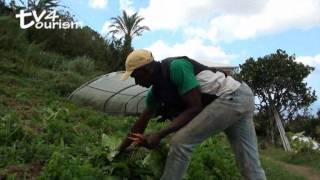 Tonton LEON, un agriculteur bio qui fait de l'agrotourisme.