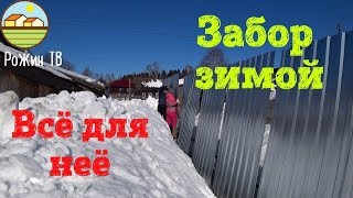ЖАЛКО СОБАКУ? СРОЧНО❗️ ДЕЛАЮ ЗАБОР???
