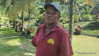 NO HANDS, NO PROBLEM - Jamaican Man Without Arms Making A Trail In Business #BarrSpice