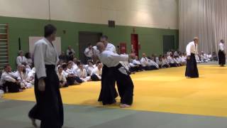 Aikido Nidan Test