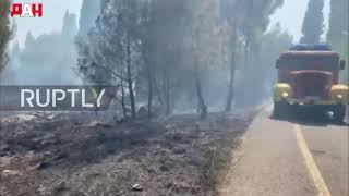 Montenegro: Firefighting ops tackle blaze on Gorica hill in Podgorica