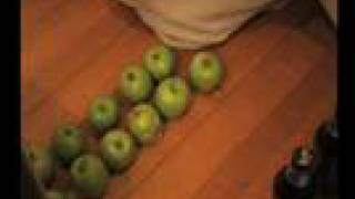 300 Spartan Apples