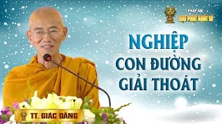 Thượng tọa Giác Đăng: Nghiệp - con đường giải thoát