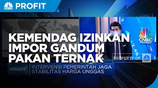 Harga Jagung Tinggi, Kemendag Izinkan Impor Gandum Pakan Ternak