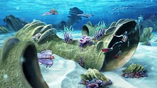Subnautica. Прохождение