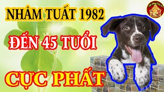 Tiết Lộ Chấn Động Tử Vi Tuổi Nhâm Tuất 1982 Gặp Thời Đổi Vận Tiền Tiêu 5 Đời Không Hết