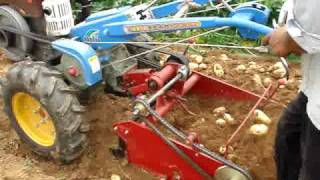 potato harvester viedo